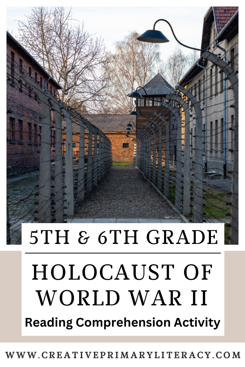 Holocaust of World War II Close Reading Comprehension | 5th Grade & 6th Grade